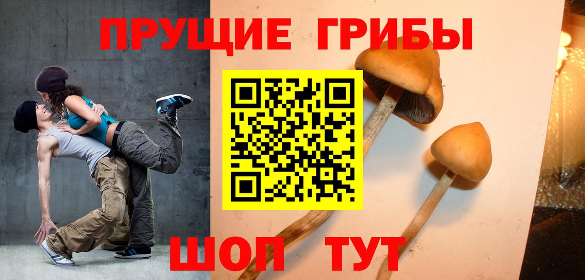 Галлюциногенные грибы Cubensis Трёхгорный