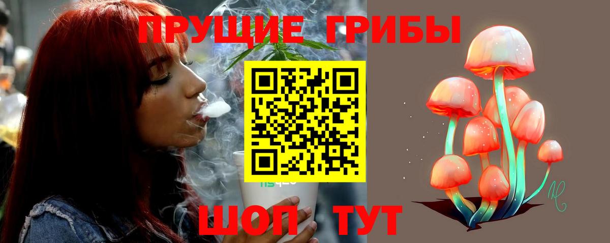 Галлюциногенные грибы MAGIC MUSHROOMS  Вход с VPN  Трёхгорный 
